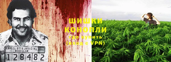 амф Аркадак