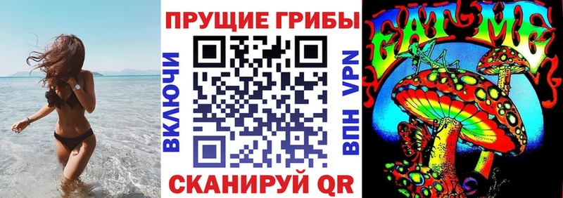 Купить  Ивантеевка  Галлюциногенные грибы мухоморы 